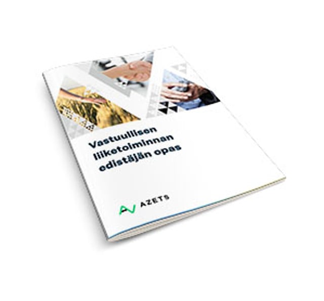 Vastuullisen liiketoiminnan edist&auml;j&auml;n opas